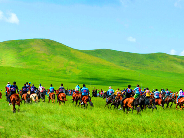 [五一] 丰宁坝上草原-大汗行宫巴士2日游>海留图湿地公园娱乐嘉年,闪