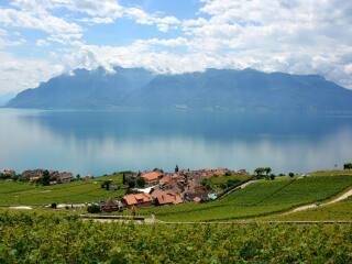 拉沃葡萄园梯田