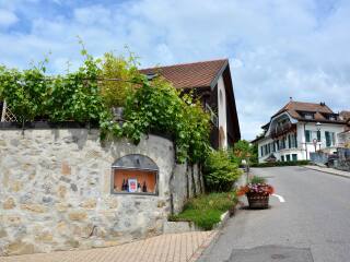 拉沃葡萄园梯田