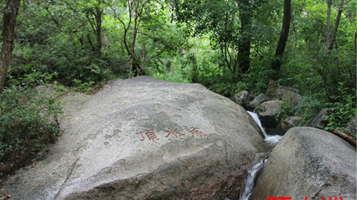 松山:松山森林旅遊區是華北地區唯一的國家級自然保護區.