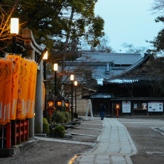 八坂神社的#旅图换旅费#