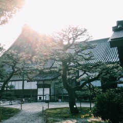 二条城的#旅图换旅费# #一起来看雪# #最魅春节#