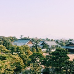 二条城的#旅图换旅费# #一起来看雪# #最魅春节#
