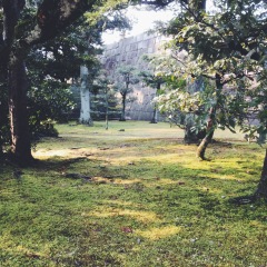 二条城的#旅图换旅费#