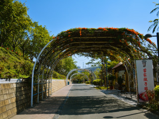 厦门博饼民俗园