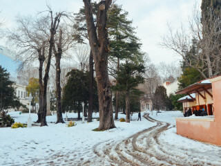 多尔玛巴赫切宫