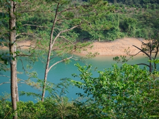 流溪河国家森林公园