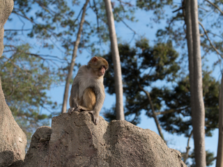 流溪河国家森林公园