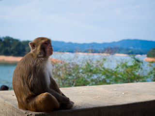 流溪河国家森林公园