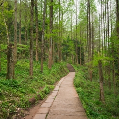 西递的#旅图换旅费#