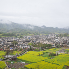 西递的#旅图换旅费#