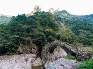 楠溪江龙湾潭森林公园