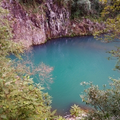 楠溪江龙湾潭森林公园的#旅图换旅费# #自然风光#