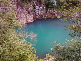 楠溪江龙湾潭森林公园