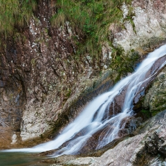 楠溪江龙湾潭森林公园的#旅图换旅费# #自然风光#