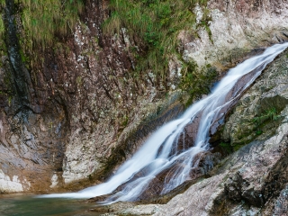 楠溪江龙湾潭森林公园