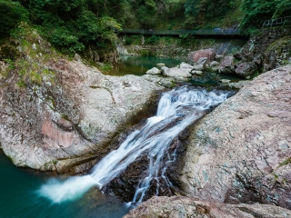 楠溪江龙湾潭森林公园