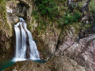 楠溪江龙湾潭森林公园