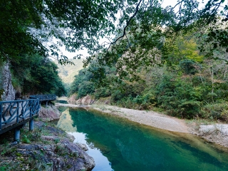 楠溪江龙湾潭森林公园