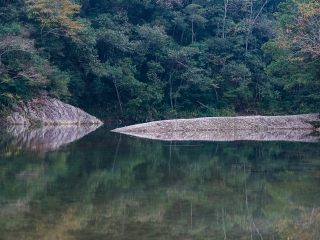 楠溪江龙湾潭森林公园
