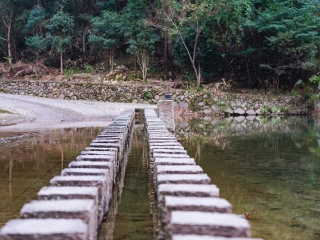 楠溪江龙湾潭森林公园