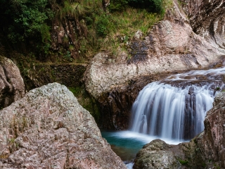 楠溪江龙湾潭森林公园