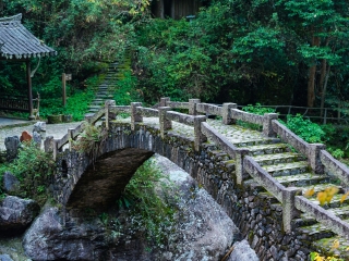 楠溪江龙湾潭森林公园