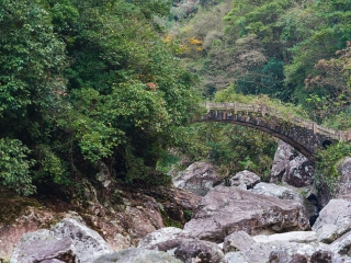 楠溪江龙湾潭森林公园