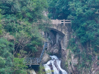 楠溪江龙湾潭森林公园