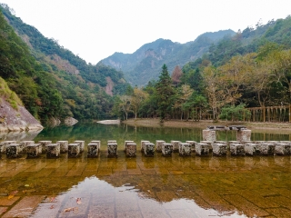 楠溪江龙湾潭森林公园