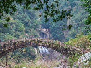 楠溪江龙湾潭森林公园