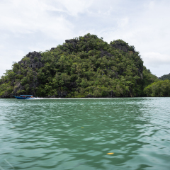 兰卡威Kilim地质公园的#旅图换旅费# #海岛游# #自然风光# 景点模块