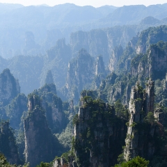 天子山的#旅图换旅费# #自然风光#