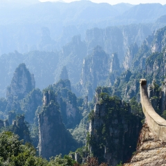 天子山的#旅图换旅费# #自然风光#
