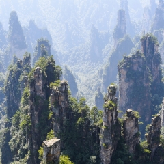 天子山的#旅图换旅费# #自然风光#