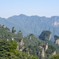 天子山的#旅图换旅费# #自然风光#