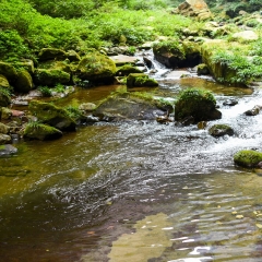 金鞭溪大峡谷的#旅图换旅费# #自然风光#