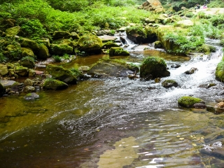 金鞭溪大峡谷