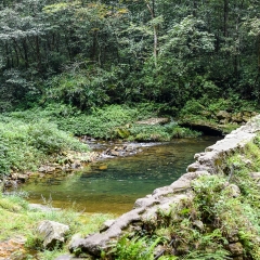 金鞭溪大峡谷的#旅图换旅费# #自然风光#