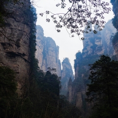 武陵源的#旅图换旅费# #自然风光#