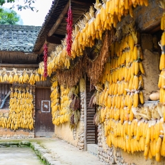 武陵源的#旅图换旅费# #自然风光#