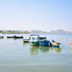 五缘湾湿地公园的#旅图换旅费#