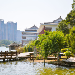 五缘湾湿地公园的#旅图换旅费#
