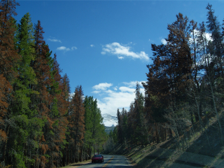 洛矶山国家公园