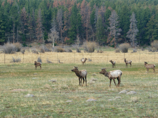 洛矶山国家公园