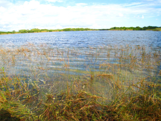 大沼泽国家公园