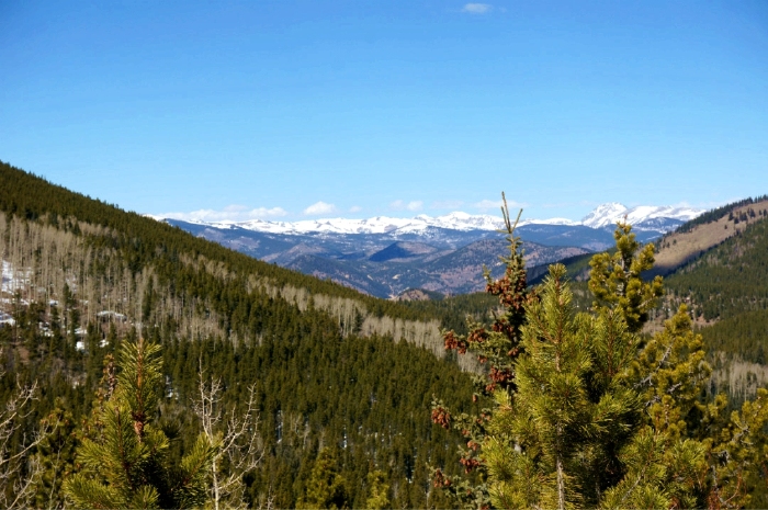 丹佛的海拔让我有了一点高原反应,出了车之后就觉得头重脚轻,环顾四周