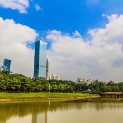 莲花山公园的#旅图换旅费#