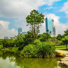 莲花山公园的#旅图换旅费#
