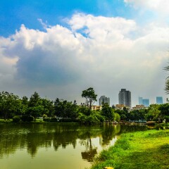 莲花山公园的#旅图换旅费#